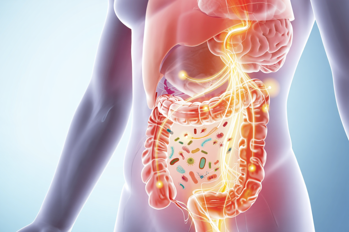 microbiom sanatate psihica